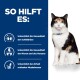 Eine Katze auf einem blauen Hintergrund mit Text über gesundheitliche Vorteile: unterstützt die Schilddrüse, Nieren, Herzgesundheit und erhält die schlanke Muskelmasse.