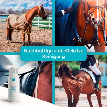 Bild eines Pferdes mit einer Decke in einem Paddock, neben einer Flasche Pferdedeckenreiniger. Der Text lautet "Nachhaltige und effektive Reinigung."
