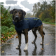 Ein Hund, der einen marineblauen Regenmantel mit Kapuze und gelben Akzenten trägt, vor einem schlichten weißen Hintergrund stehend.