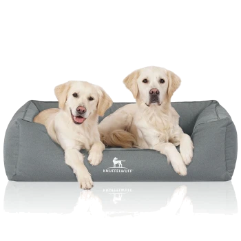 Zwei golden retriever Welpen, die auf einem weichen grauen Hundebett liegen, mit dem Markennamen "KNUFFELWUFF", der vorne sichtbar ist.