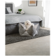 Gemütliches Schlafzimmer mit einem grauen Bett, einer strukturierten Decke, einer Pflanze auf einem Nachttisch und einem kleinen Hund, der in einem plüschigen Hundebett ruht.