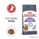 Royal Canin Appetite Control cat food bag, featuring a graphic of a cat, claims to help control begging with 90% owner satisfaction in 4 weeks.