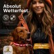 Ein Golden Retriever mit einem rosa Halsband steht neben einer Person in einer Winterjacke, mit dem Text 'Absolut Wetterfest' und 'Wasserfester Akku.'