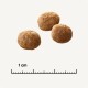 Trzy okrągłe, brązowe kawałki karmy dla zwierząt na jasnym tle, z linijką wskazującą 1 cm jako odniesienie do rozmiaru.