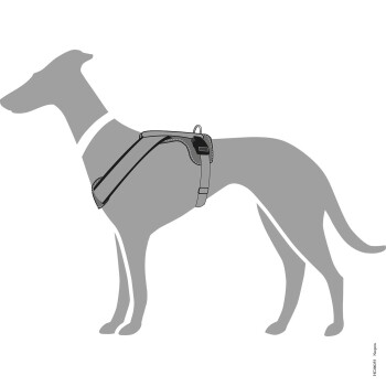 Illustration eines grauen Hundes mit einem Geschirr, das das Design und die Passform des Geschirrs am Körper des Hundes zeigt.