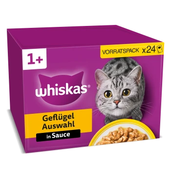 Lila Whiskas Katzenfutterverpackung mit grau-getigerter Katze; Text: 'Whiskas', 'Geflügel Auswahl in Sauce', '1+', 'VORRATSPACK x24'.