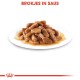 Brokjes in saus, een bord met vochtige kattenvoer met kleine, ovale stukjes in een hartige saus, gepresenteerd op een wit bord.