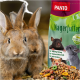 Zwei braune Kaninchen vor einem bunten Tierfutterbeutel mit der Aufschrift "PANTO Nagerfutter", das kleine Tiere und Vitamine zeigt.