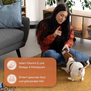 Eine Person in einem gemütlichen Wohnzimmer spielt mit einem kleinen Hund auf einem Teppich und zeigt die Vorteile eines Haustierprodukts für Haut- und Fellgesundheit.