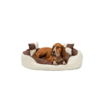 Ein brauner Hund, der bequem auf einem runden Haustierbett mit cremefarbener und brauner Stoffumrandung ruht, umgeben von kleinen dekorativen Kissen.