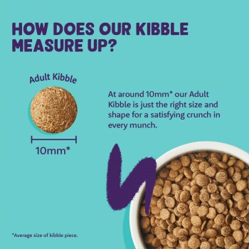 Image of a bowl of pet kibble with a highlighted piece showing its size of 10mm, accompanied by text about its crunchiness.