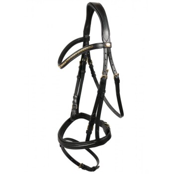 Hans Melzer Trense Bredeneek schwarz/messing WB EXTRA (KB-Kaltblut)