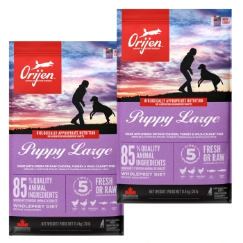 Two bags of Orijen Puppy Large dog food with a purple design, showcasing dogs and a person, highlighting "85% quality animal ingredients."