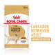 Royal Canin Labrador Retriever Adult hondenvoer, 140g, met Labrador illustratie en tekst: "LABRADOR RETRIEVER ADULT," "IDEAL WEIGHT."