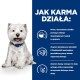 Uśmiechnięty biały pies siedzi na niebieskim tle z tekstem o nowych białkach i omega-3 dla zdrowia skóry w karmie dla psów.
