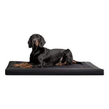 CARLOS Velours-Kunstleder Hundematratze schwarz 80 cm, 6 cm, 60 cm Ein schwarzer Dobermann liegt bequem auf einem schwarzen Haustierbett und schaut direkt in die Kamera.