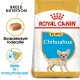 Torba z karmą Royal Canin dla szczeniąt rasy Chihuahua z małym szczeniakiem Chihuahua, z tekstem podkreślającym odżywianie rasy i wsparcie odporności.
