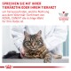 Eine getigerte Katze auf einem Tisch in einer Tierarztpraxis, mit einer Hand des Tierarztes auf ihrem Rücken. Der Text empfiehlt, einen Tierarzt bezüglich ROYAL CANIN® Katzenfutter zu konsultieren.