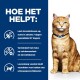 Een oranje tabby kat met een blauwe halsband staat naast tekst over de voordelen van huisdiervoeding voor struvietstenen en urinegezondheid.