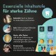 Himalayan Cheese Bone Hundeleckerlis von Petstile, die essentielle Zutaten für starke Zähne hervorheben: Kuhmilch, Salz, harte Textur und proteinreich.