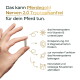 Hand hält Pellet mit deutschem Text 'Pferdegold Nerven 2.0 Tryptophanfrei' und Vorteilen: Vitamin B, Magnesium, ruhigeres Pferd.