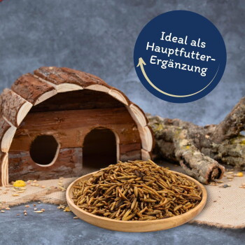 Holz-Haustierhaus mit einer Schale getrockneter Mehlwürmer und dem Text "Ideal als Hauptfutter-Ergänzung" auf einem blauen Kreis.