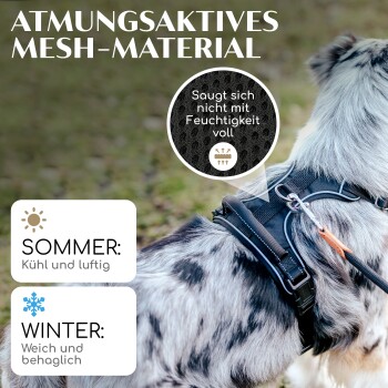 Ein Hund in einem atmungsaktiven schwarzen Geschirr mit dem Text: "Sommer: Kühl und luftig" und "Winter: Weich und behaglich."