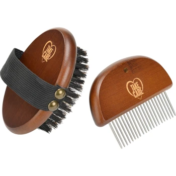 Ensemble de brosse et de peigne pour toilettage d'animaux en bois avec des poils noirs et des dents en métal, tous deux gravés avec "TAKE CARE."