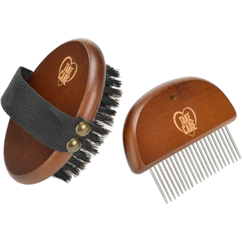 Ensemble de brosse et de peigne pour toilettage d'animaux en bois avec des poils noirs et des dents en métal, tous deux gravés avec "TAKE CARE."