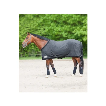 Ein braunes Pferd, das eine dunkelgraue Decke trägt, steht auf einer sandigen Fläche, mit grünen Bäumen im Hintergrund.