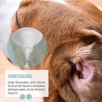 Nahaufnahme eines braunen Hundeohres mit eingesetztem Tropfaufsatz; sichtbarer Text 'ANWENDUNG' (deutsche Anwendungshinweise).