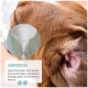 Nahaufnahme eines braunen Hundeohres mit eingesetztem Tropfaufsatz; sichtbarer Text 'ANWENDUNG' (deutsche Anwendungshinweise).