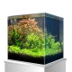 Ein lebendiges, bepflanztes Aquarium mit üppigen grünen und rötlichen Wasserpflanzen, auf einem weißen Sockel.