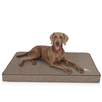 Knuffelwuff orthopädische Hundematte Palomino aus laser-gestepptem Kunstleder stone clay XL
