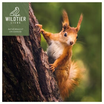 Ein neugieriges rotes Eichhörnchen klettert einen Baumstamm mit verschwommenem grünem Hintergrund; zeigt das Logo "WILDTIER LIEBE" und "NATUR BRAUCHT EIN ZUHAUSE."