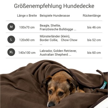 Braune Hundedecke von Doctor Bark, waschbar bis 95°C, Lufttrocknung empfohlen, mit Textanweisungen für die Maschinenwäsche.