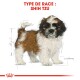 BHN Shih Tzu Puppy 1,5 kg
