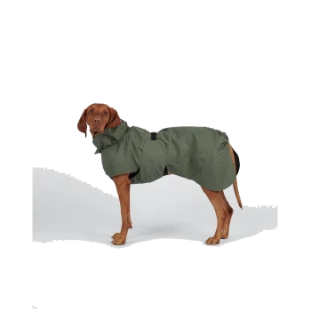 Brauner Vizsla in Seitenansicht trägt einen olivgrünen wasserdichten Hundemantel mit hohem Kragen und Schnalle.