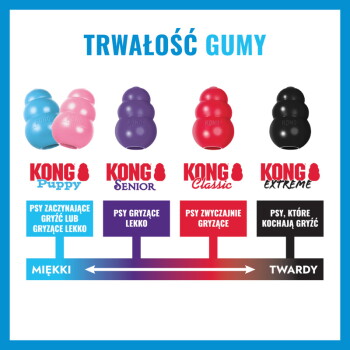 Trwałość gumy w zabawkach KONG: Puppy (niebieski/różowy), Senior (fioletowy), Classic (czerwony), Extreme (czarny); MIĘKKI → TWARDY