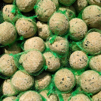 Meisenknödel Premium mit Insekten 200 x ca. 90 Gramm mit Netz, Futter für Wildvögel, Fettfutter Vögel Nahaufnahme von runden Hundefutterbällen, die jeweils in grünem Netz eingewickelt sind und eine strukturierte Oberfläche mit sichtbaren Kräuter- oder Zutatenstückchen zeigen.