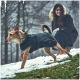 Ein Hund, der einen schwarzen Mantel trägt, läuft durch eine verschneite Landschaft, mit einer Person, die im Hintergrund zwischen Bäumen sitzt.