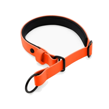 Helle orangefarbene Haustierhalsband mit schwarzen Akzenten und verstellbaren Funktionen, vor einem weißen Hintergrund präsentiert.