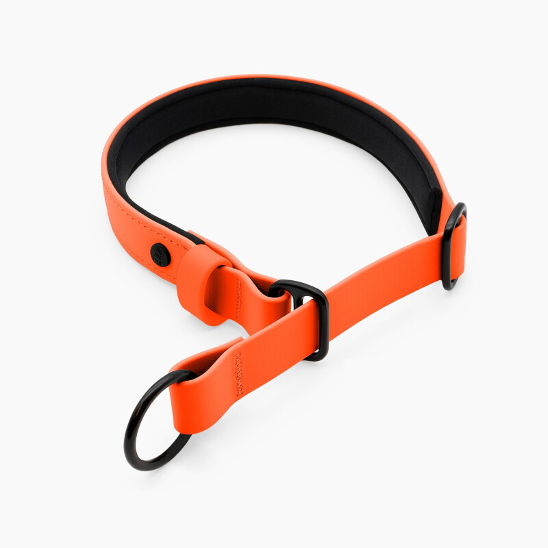 THE DOG IDEA Zugstopp Halsband Orange XS