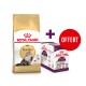 Sac de nourriture pour chat Royal Canin pour chats persans avec un pack bonus de friandises sensorielles pour chats, avec une étiquette rouge "OFFERT".