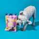 Junior Snack Soft Bites Happy Puppy 300 g