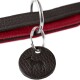 Nahaufnahme eines schwarzen Leder-Hundehalsbands mit rotem Innenfutter, mit einem runden schwarzen Etikett, das mit einer Hundesilhouette geprägt ist.