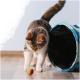 Eine verspielte getigerte Katze nähert sich neugierig einem bunten gestreiften Ball auf dem Boden, mit einem blauen Haustiertunnel im Hintergrund.
