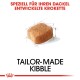 Ein einzelnes Stück Futter für Dachshunde, mit dem Text "TAILOR-MADE KIBBLE" und "SPEZIELL FÜR IHREN DACKEL ENTWICKELTE KROKETTE" darüber.