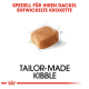 Ein einzelnes Stück Futter für Dachshunde, mit dem Text "TAILOR-MADE KIBBLE" und "SPEZIELL FÜR IHREN DACKEL ENTWICKELTE KROKETTE" darüber.