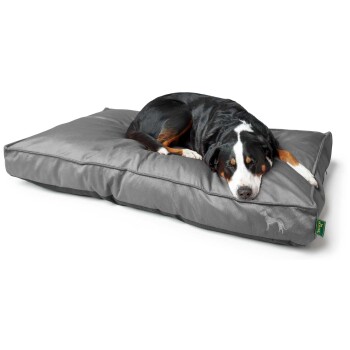 Ein schwarz-brauner Hund schläft friedlich auf einem großen grauen Hundebett.